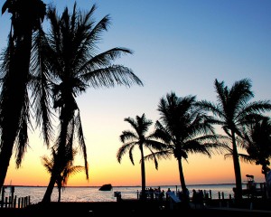 Gulf Coast